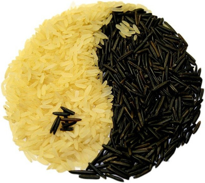Féculents : les céréales, féculents, céréales, riz long, riz noir, pseudo céréales